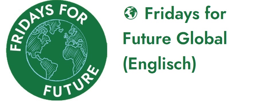Fridays for Future - Internationale Website (Englisch)